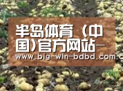 种植基地八(图1)
