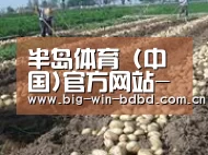 种植基地七(图1)