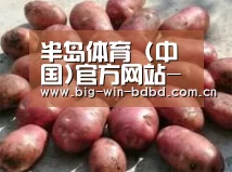 产品展示标题5(图1)