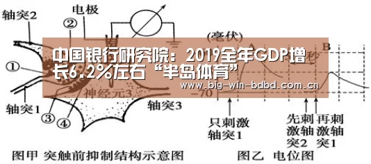 半岛体育在线下载